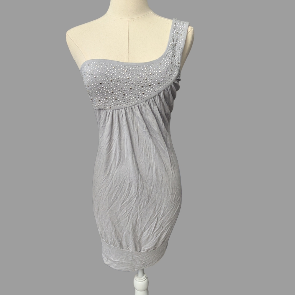 Robin K Chic Silver One-Shoulder Dress